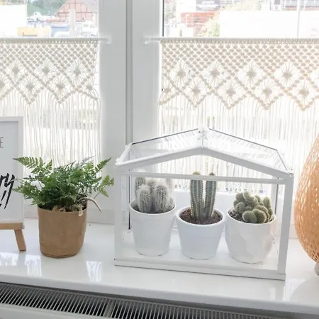 Lejlighed Alternatywny *